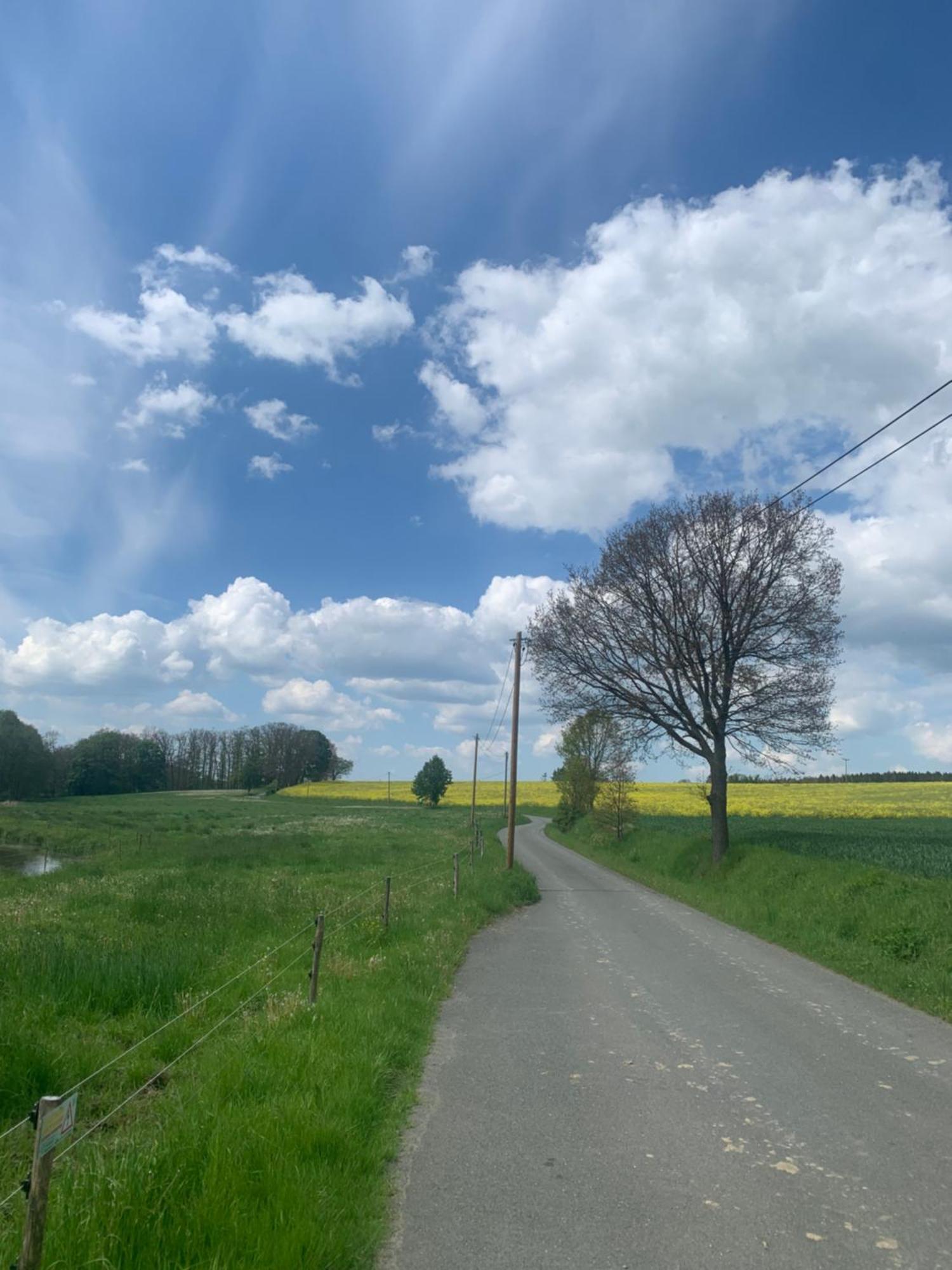Gemuetliche Ferienwohnung In Idyllischer Lage-Auf Dem Land Dittersdorf Bagian luar foto